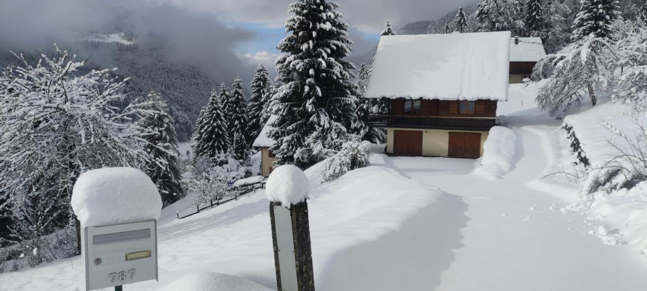 Chalet L'Alpe Saint-Pierre-d'Entremont  ภายนอก รูปภาพ